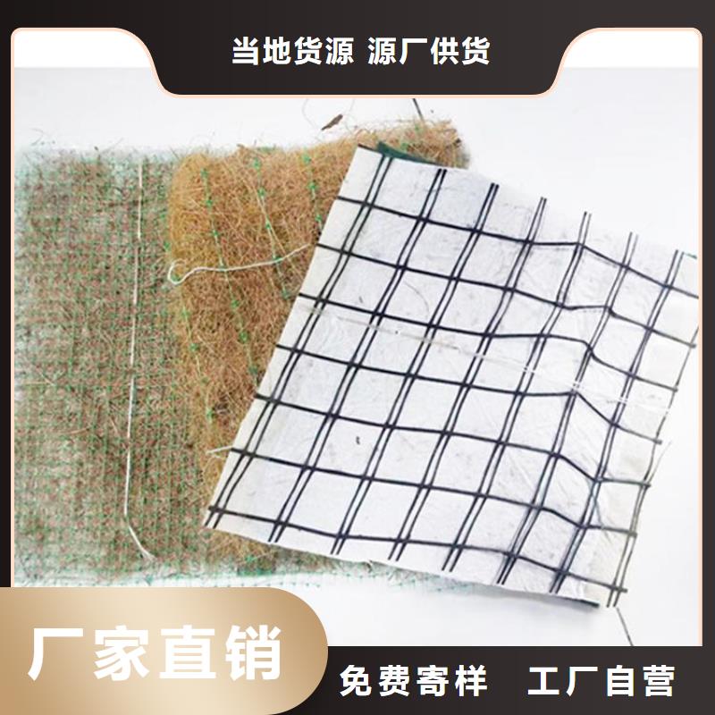 植生椰丝毯-纤维草毯-水保加筋椰丝毯
