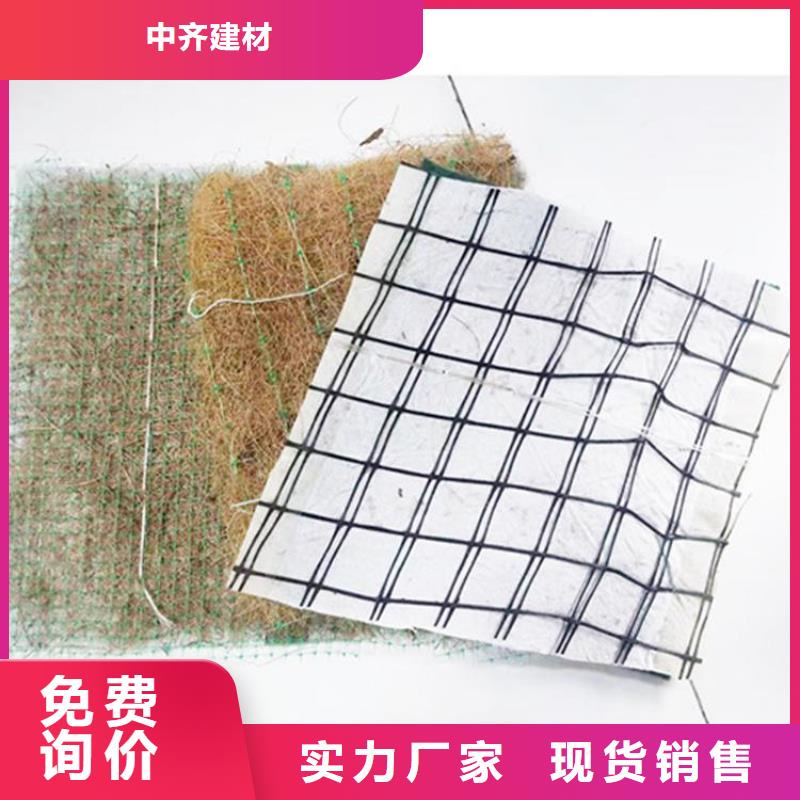 植物生态防护毯现货供应