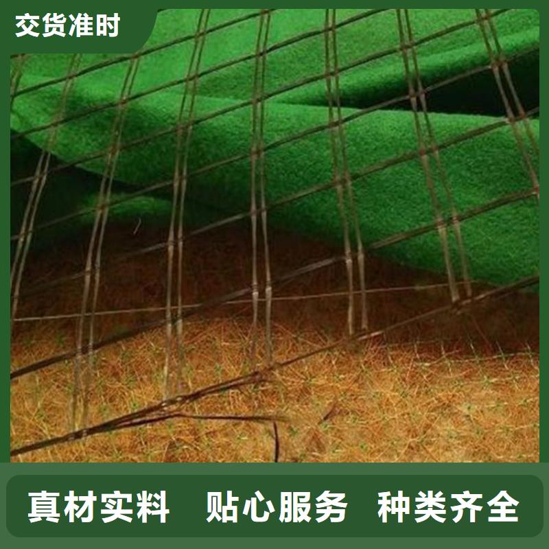 生态环保草毯-绿化植被毯