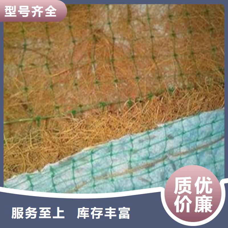 植物生态防护毯-护坡植被植草毯