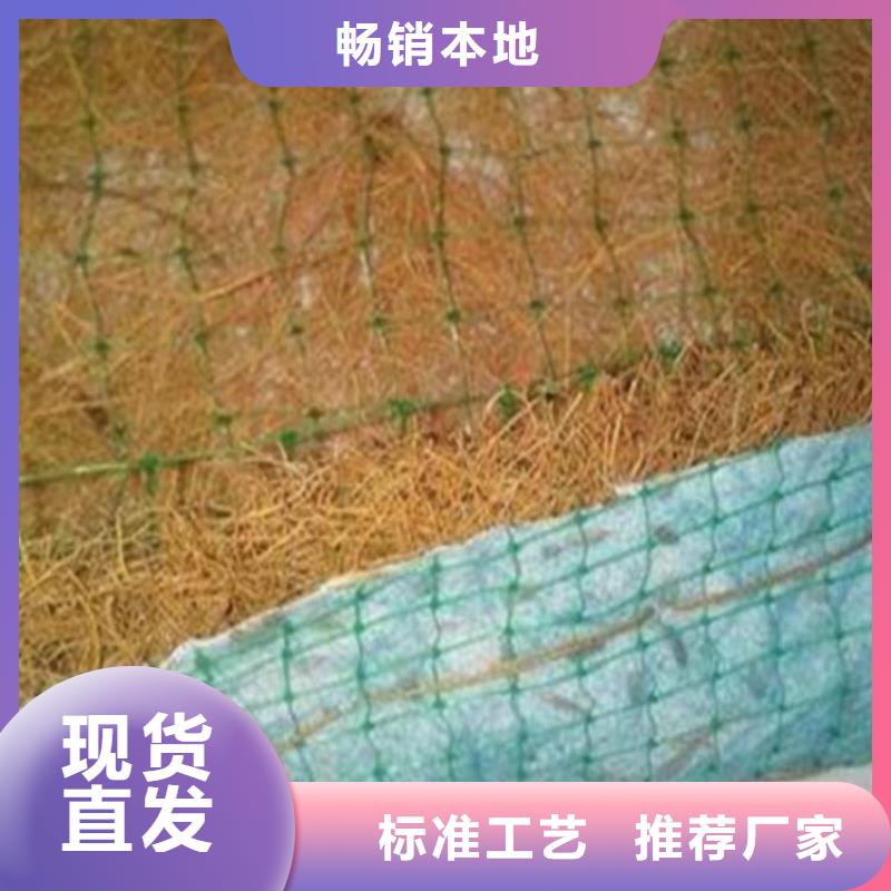 植物生态防护毯-麻椰植被毯