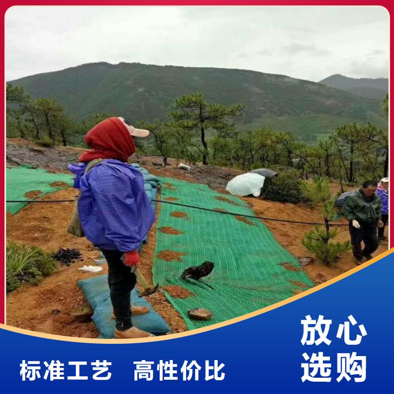 植物纤维毯-生态环保草毯图片详情