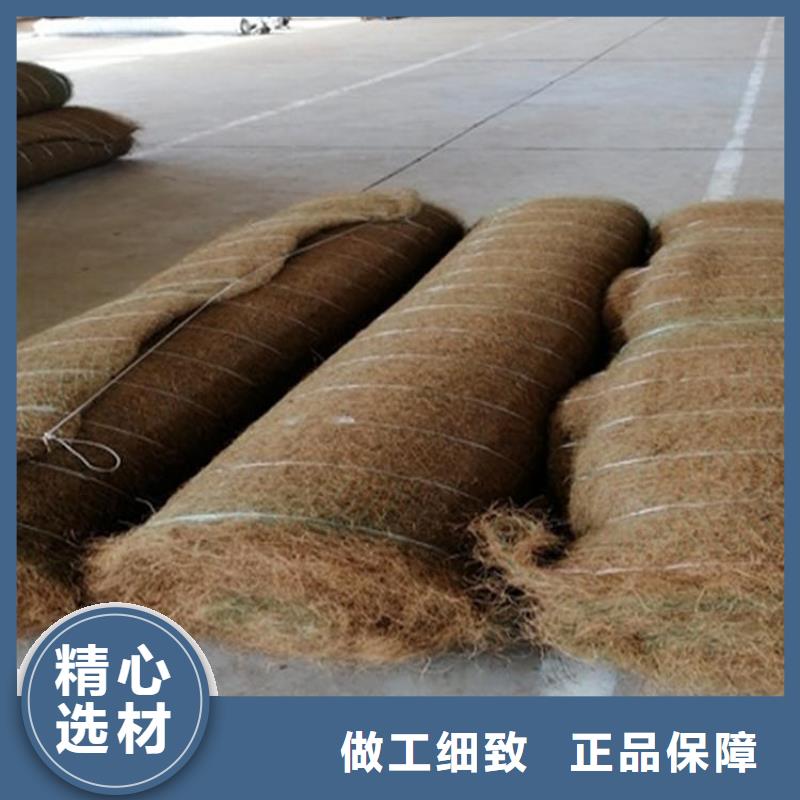 生态毯新闻已更新