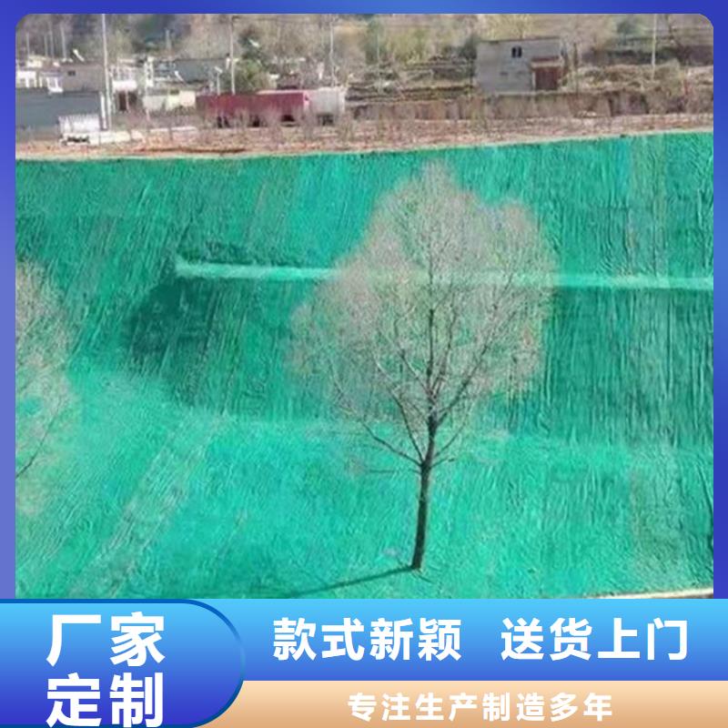 澳门加筋抗冲生态毯-生态环保草毯厂家-办事处
