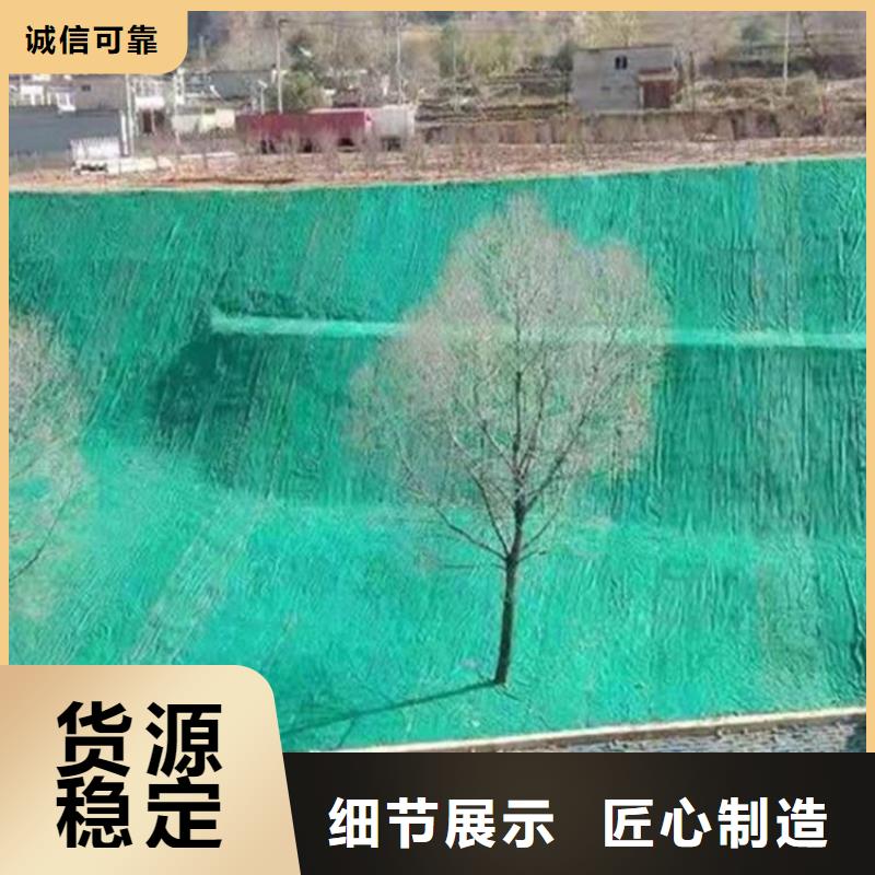 生态环保草毯-边坡植被垫