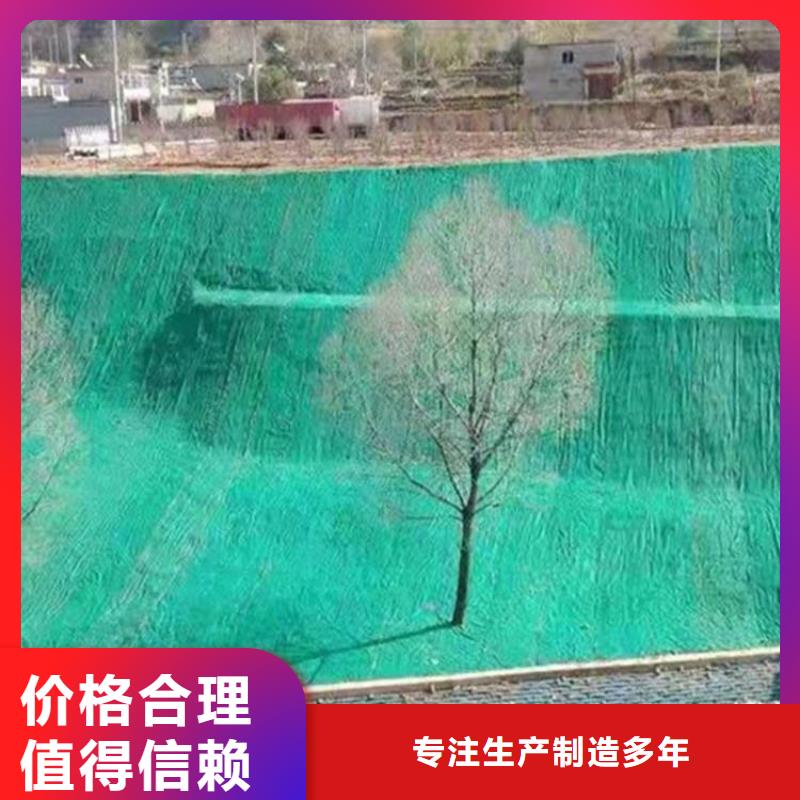 植物纤维毯-环保植生毯-护坡植物纤维毯