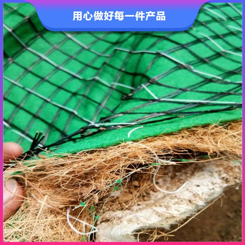 护坡植被植草毯-河道护坡植生毯