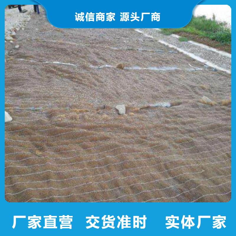 椰纤植生毯-加筋抗冲生物毯