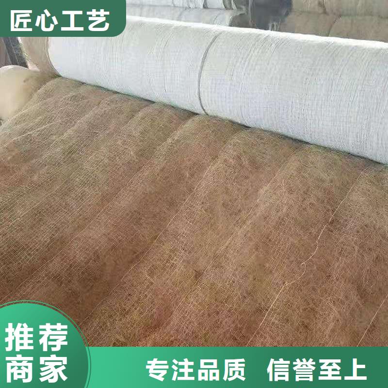 生态环保草毯-加筋植生毯