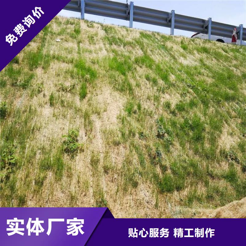 植生椰丝毯-加筋抗冲生态毯-植草椰丝毯