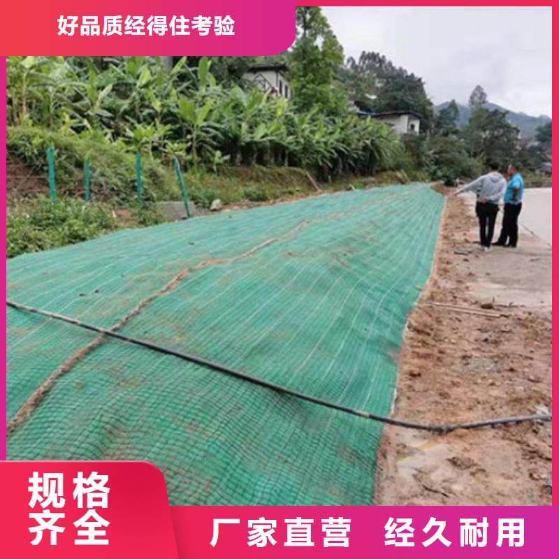 秸秆植物纤维毯-植被纤维毯