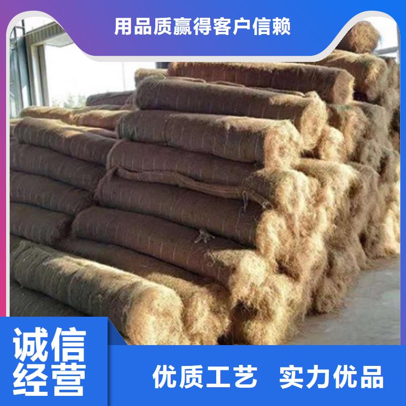 椰纤植生毯-植物生态防护毯-绿化植被垫