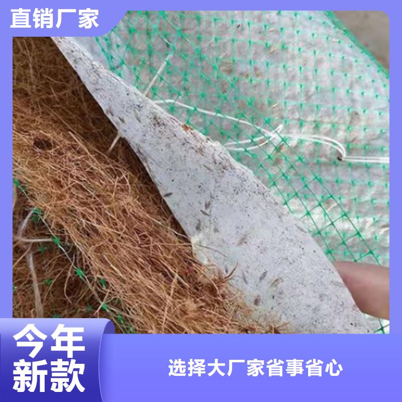 生态环保草毯-椰纤植生毯