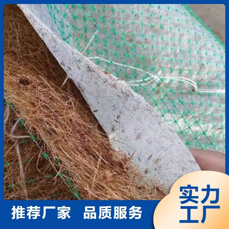 椰丝毯新闻资讯