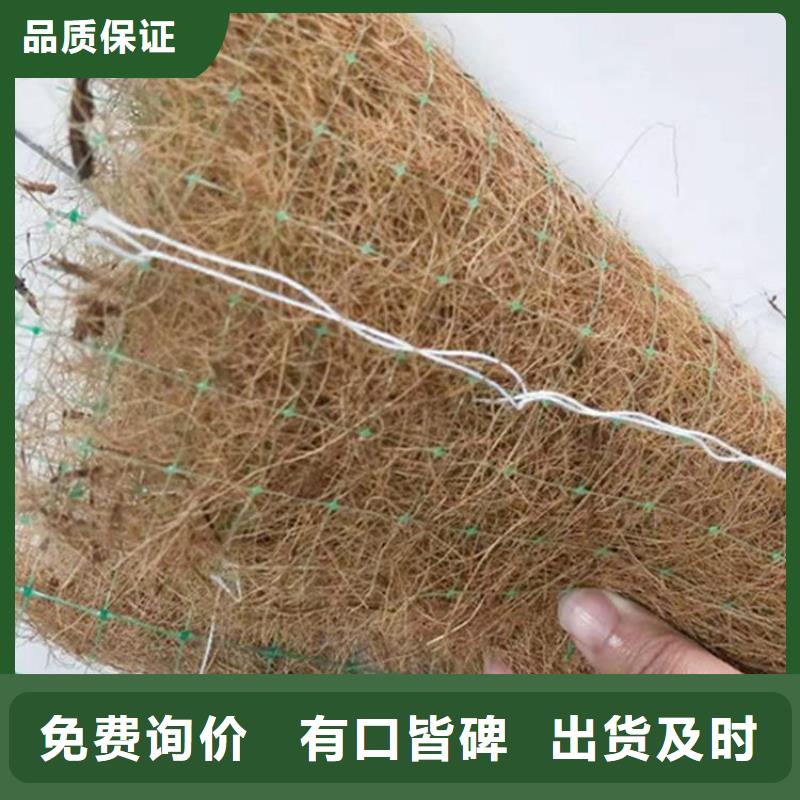 椰纤植生毯-生态环保草毯