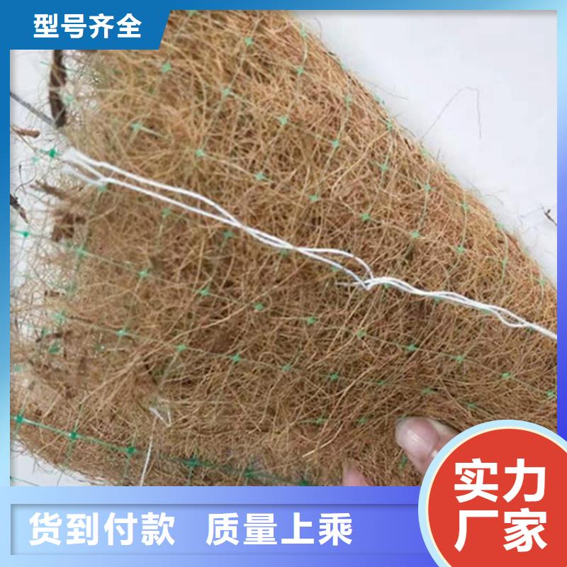 椰纤植生毯-植物生态防护毯