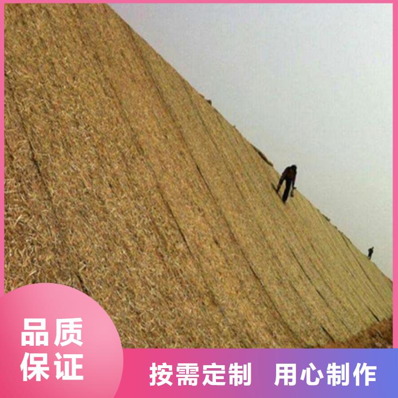 椰纤植生毯-加筋抗冲生物毯-椰丝抗冲毯