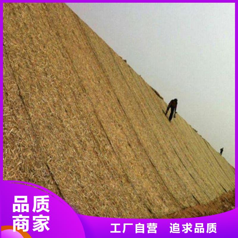 加筋抗冲生态毯-生态环保草毯