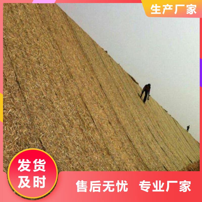 椰纤植生毯欢迎电询