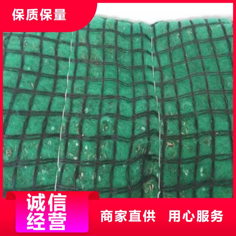 加筋抗冲生态毯-植被纤维毯