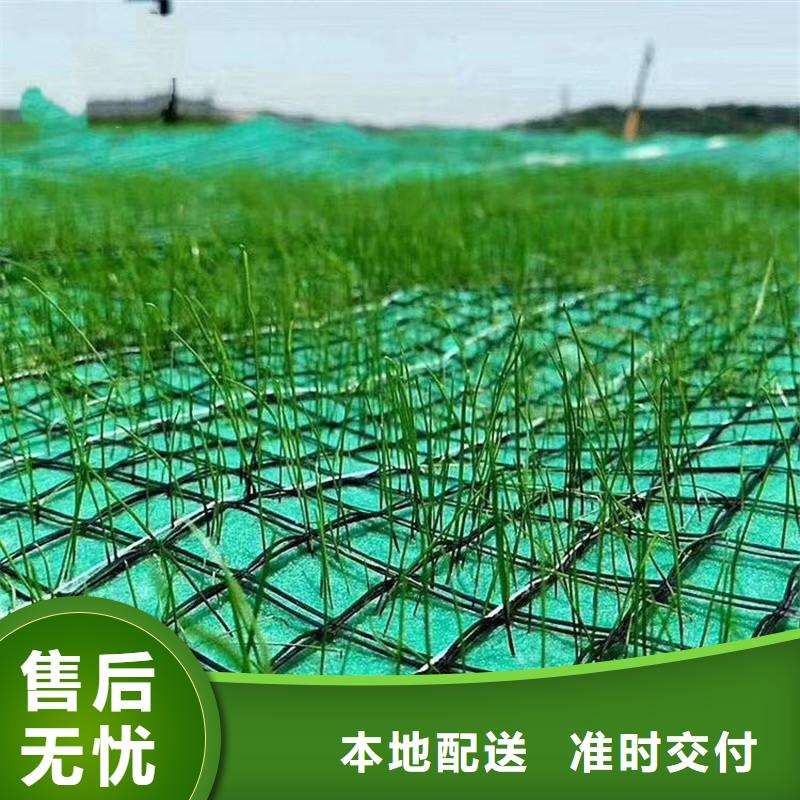 植物生态防护毯加筋-防护施工