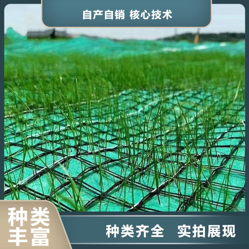 椰纤植生毯-生态环保草毯