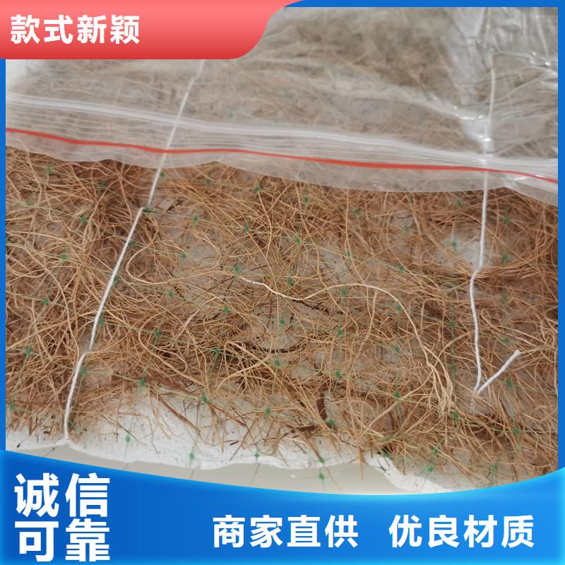 植生椰丝毯护坡生态毯