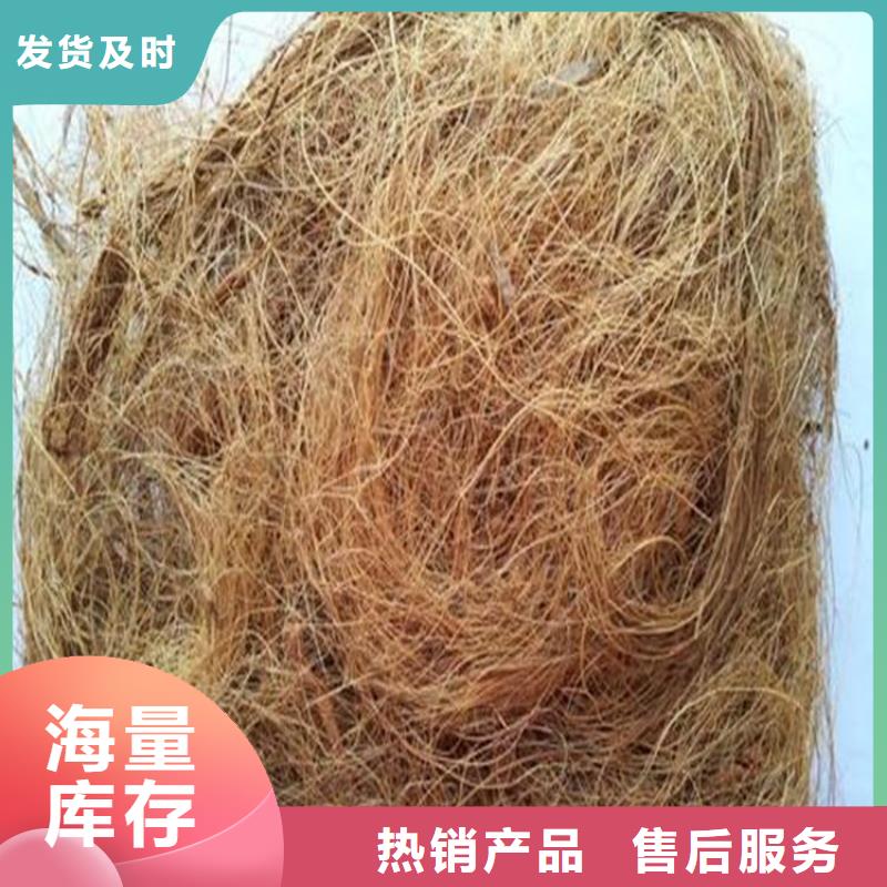 植物纤维毯-护坡植被植草毯-矿山修复植生毯
