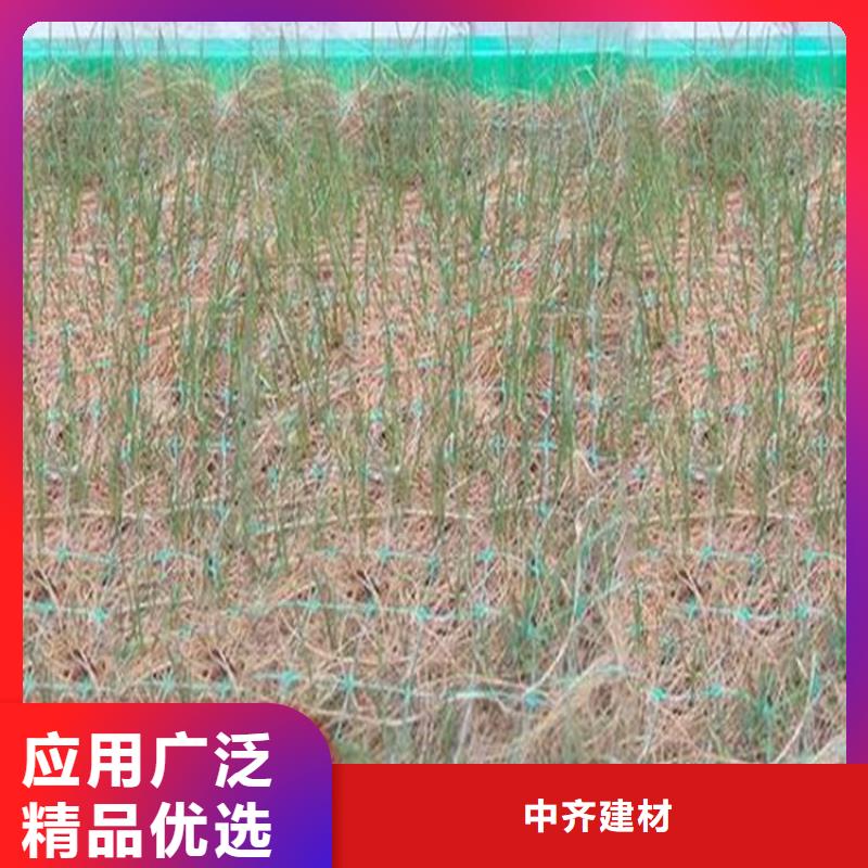 植生椰丝毯-椰纤植生毯