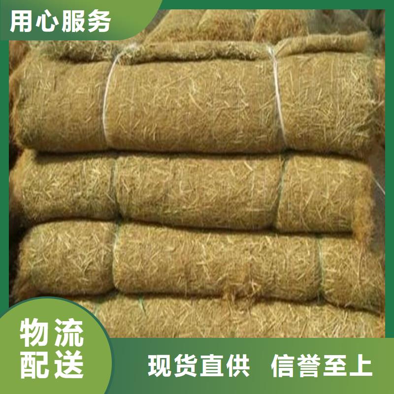椰纤植生毯-加筋抗冲生态毯-抗冲毯
