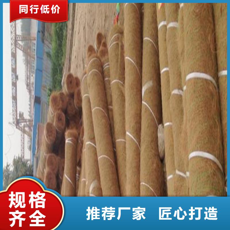 加筋抗冲生态毯-护坡植被植草毯-绿化植被垫