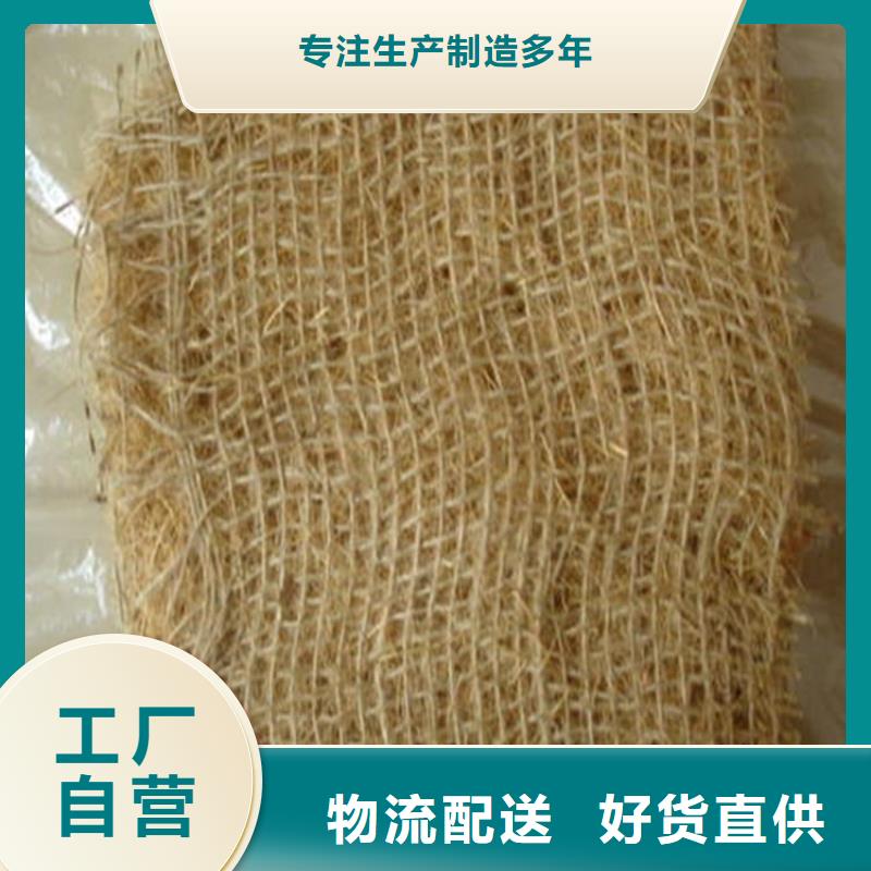 植物纤维毯-护坡植被植草毯-矿山修复植生毯