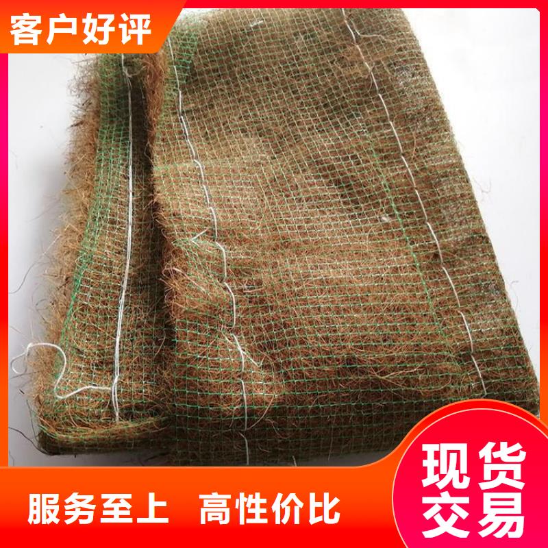 椰纤植生毯-护坡植被植草毯-抗冲椰丝毯