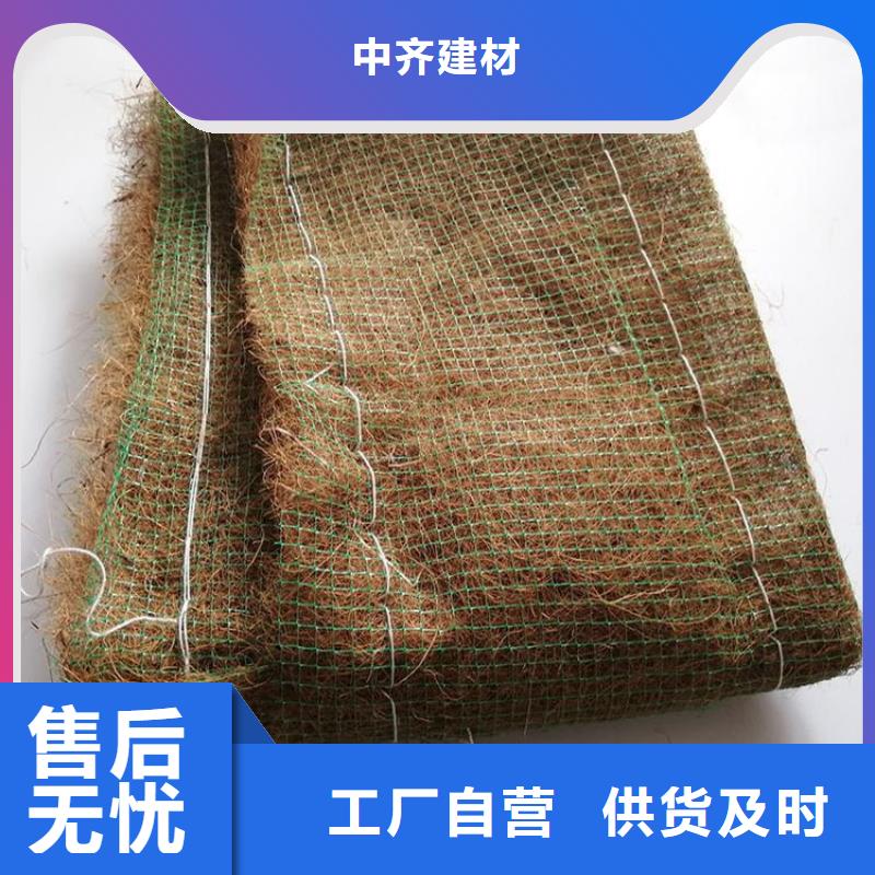 生态环保草毯-绿化植被毯