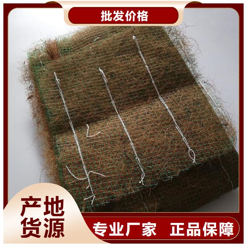 植物纤维毯-护坡植被植草毯