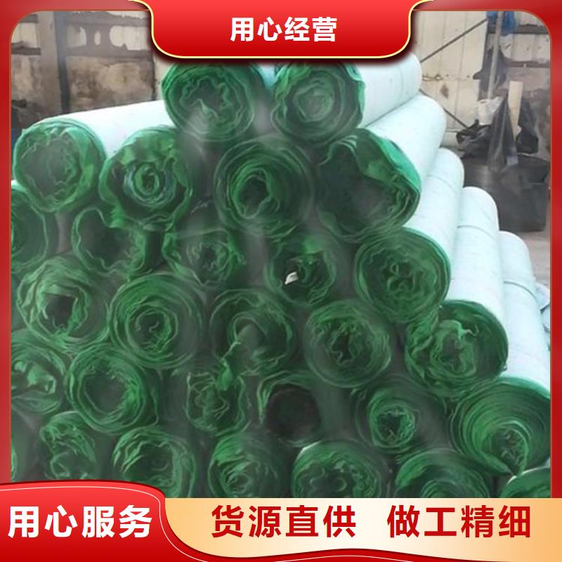 植物纤维毯-护坡植被植草毯