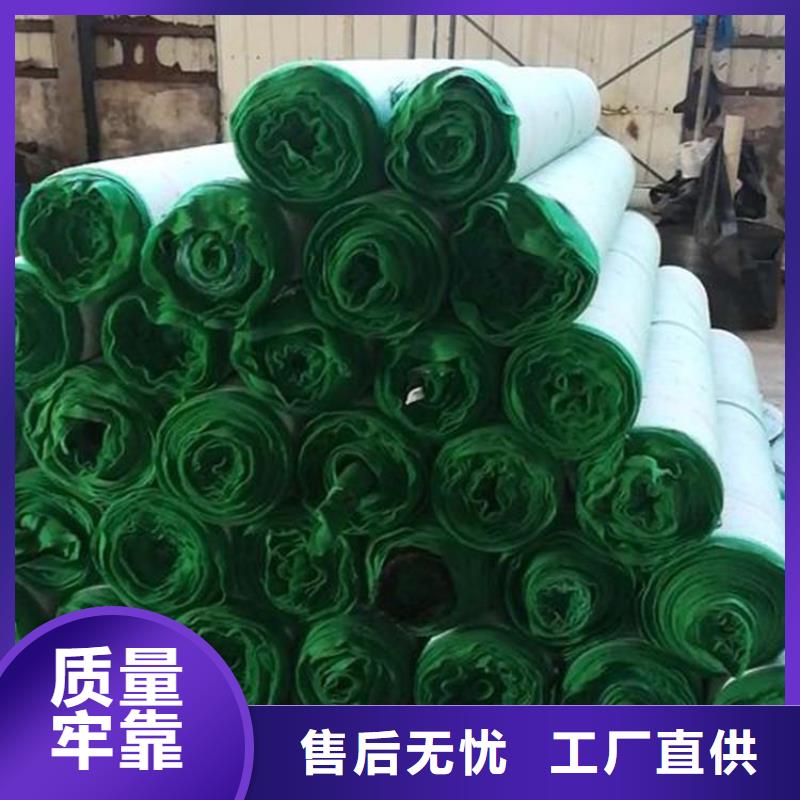 椰丝毯新闻资讯