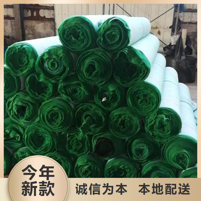 植物生态防护毯-椰纤植生毯