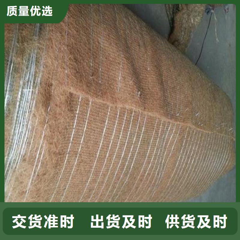 植生草毯产品动态