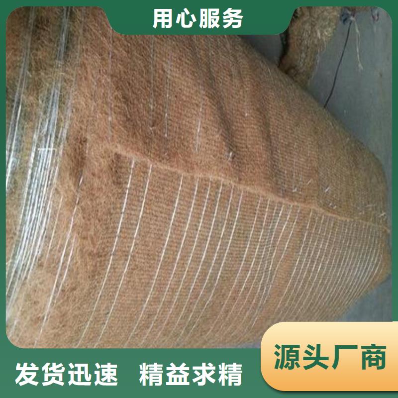 护坡植被植草毯-公路植生毯