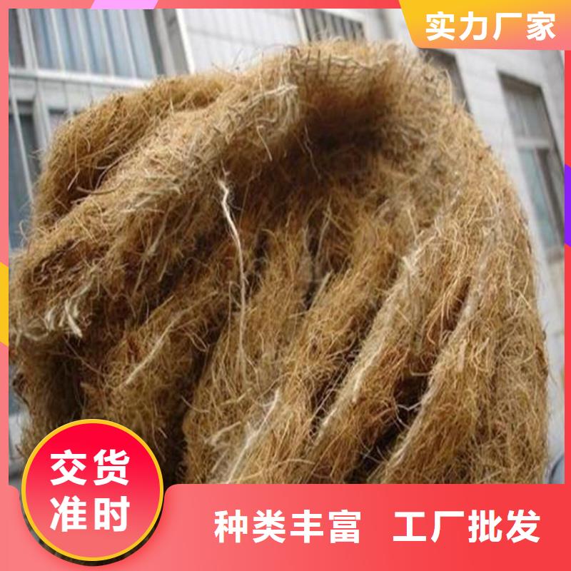 植生椰丝毯-纤维草毯-水保加筋椰丝毯