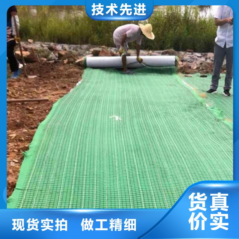 椰丝毯_植草格质量看得见