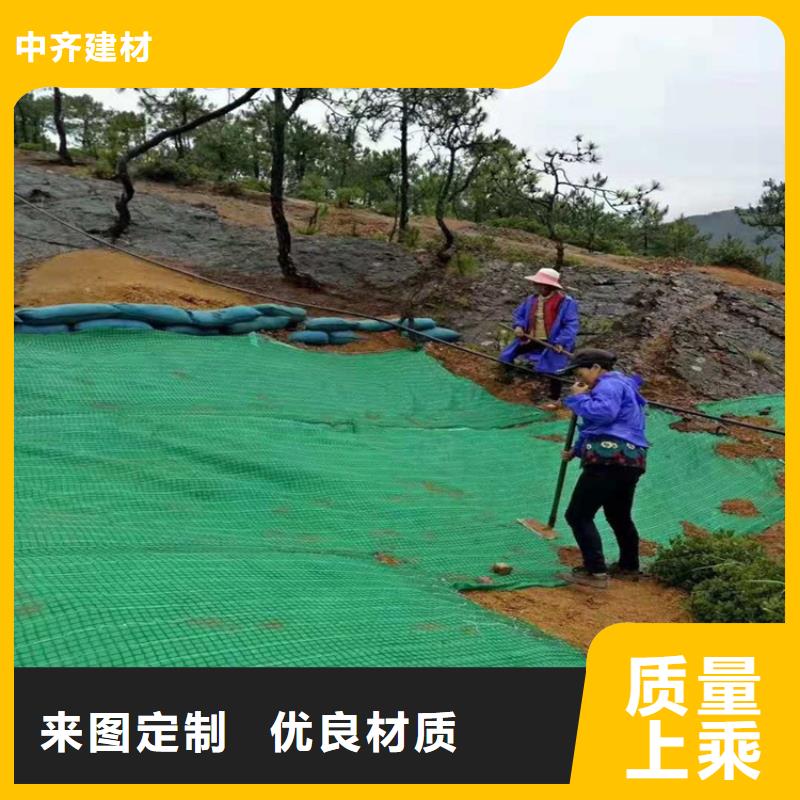 椰丝毯土工布价格新闻已更新