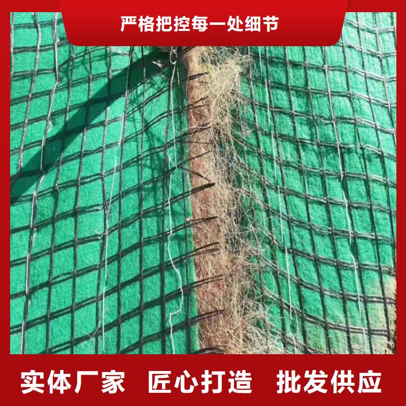 椰丝毯新闻资讯