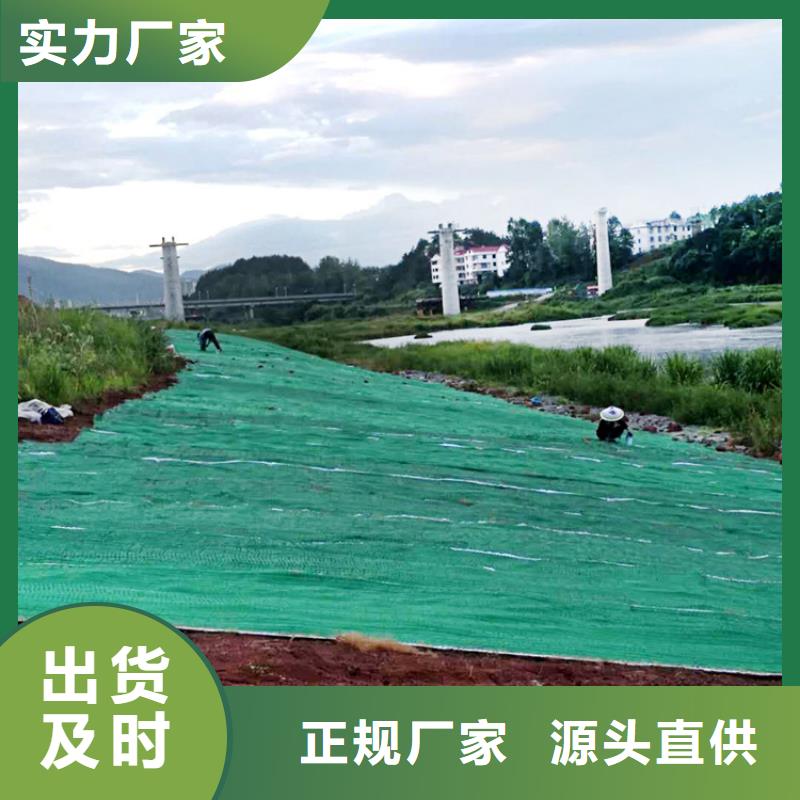椰纤植生毯-绿化植生毯-护坡椰丝毯