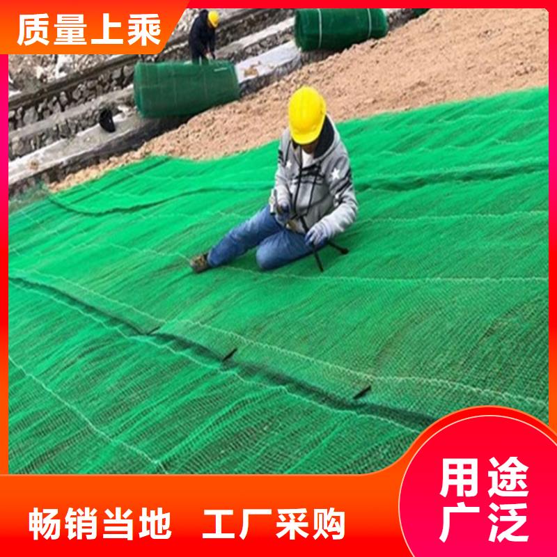 植生椰丝毯-护坡植被植草毯-秸秆植物纤维毯