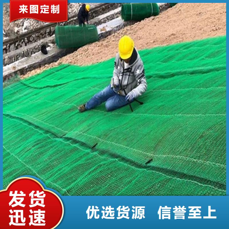 椰纤植生毯-护坡植被植草毯