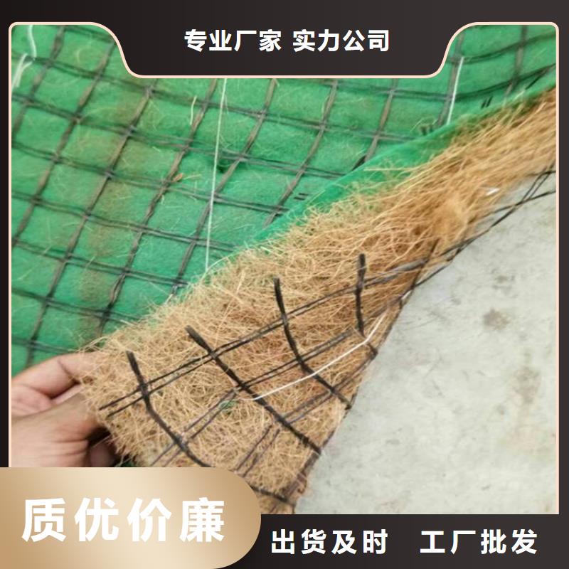 加筋抗冲生态毯型号齐全