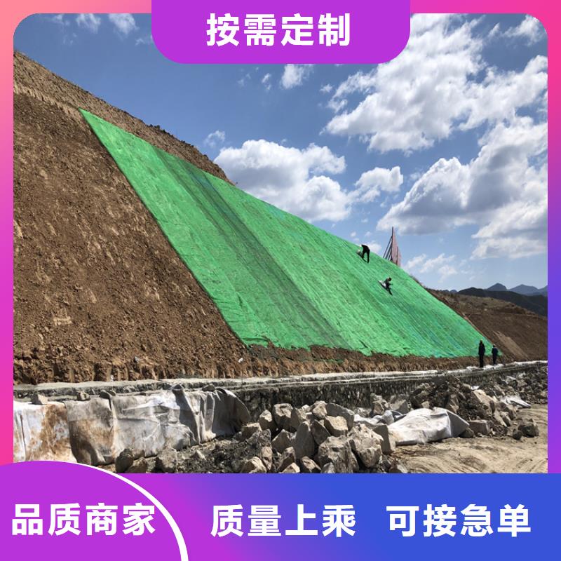 植生椰丝毯-加筋抗冲生物毯-椰丝草毯