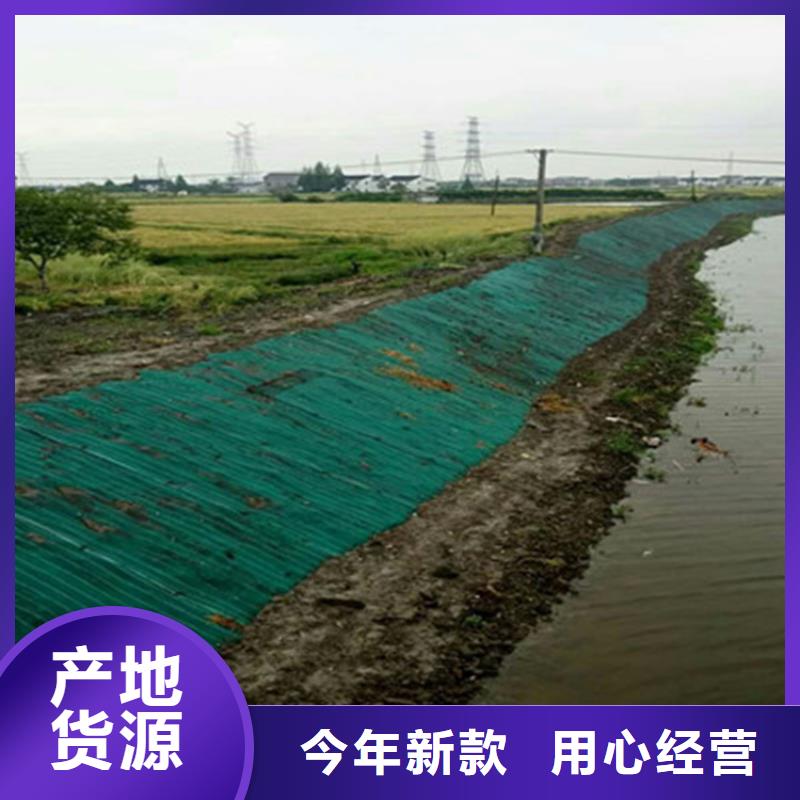 护坡植被植草毯-加筋抗冲生物毯